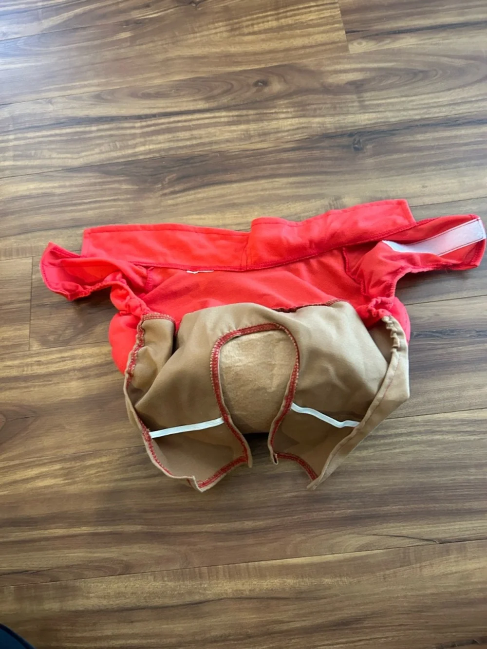 Target Red Delivery Dog Costume with Package Prop